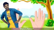Action Where is Thumbkin || Action Finger Family Nursery Rhymes