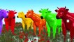 3D корова цветные Цвет песня | мультфильм детские стишки для изучения Коллекция потешки, детские