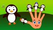 Penguin Cartoons Animation Singing Finger Family Nursery Rhymes for Preschool Childrens Song
