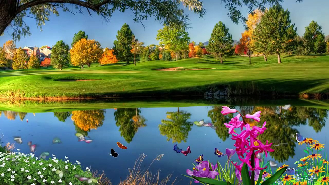 Nhạc Chế - Đài Loan Mơ Ước - Yêu nhạc chế