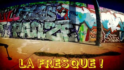 Coyotes de l'Ouest - PARIS Canal de l'Ourq - Novembre 2016