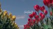 SURAH GHASHIYA WITH URDU TRANSLATION & BEAUTIFUL HD VISUALS