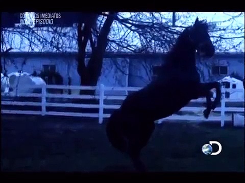 Contatos Imediatos - Episódio 01roubando 'agua (Parte 1 de 2)