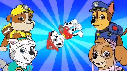 PAW PATROL Finger Family Daddy Finger Song 15 mins Compilation #3 - The Childrens Learnin