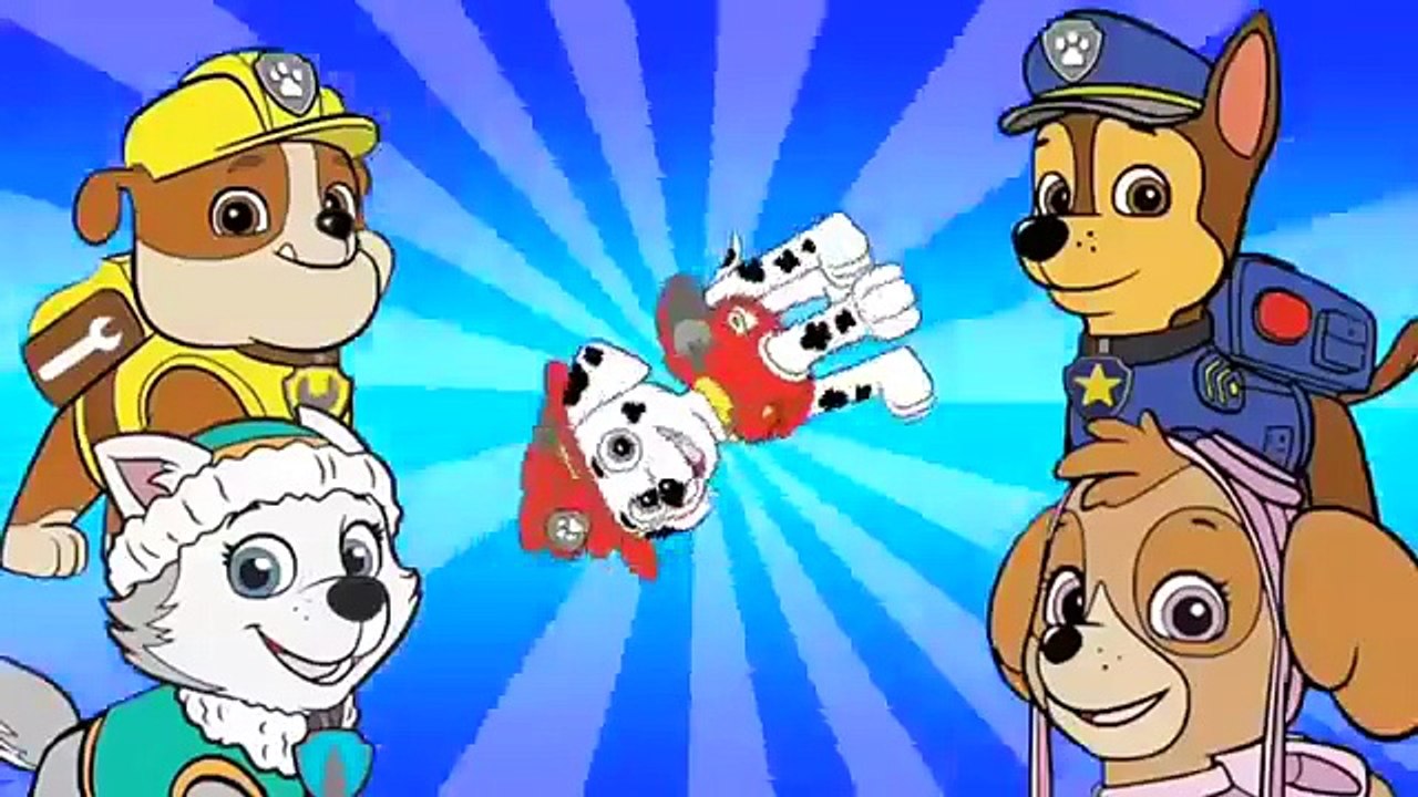 PAW PATROL Finger Family Daddy Finger Song 15 mins Compilation #3 - The Childrens Learnin