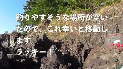 【伊豆の地磯】伊東市『大灘』編　後編　メジナフィーバーは起こるか？