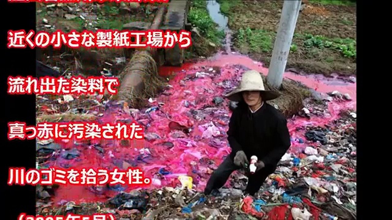 【閲覧注意】世界が震えた！地球の限界が近づいていることが伝わるよく見ると とんでもない 嘘のような本当の衝撃写真 マジでヤバイ【驚愕】