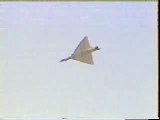 Mirage 2000 Crash http://BestDramaTv.Net
