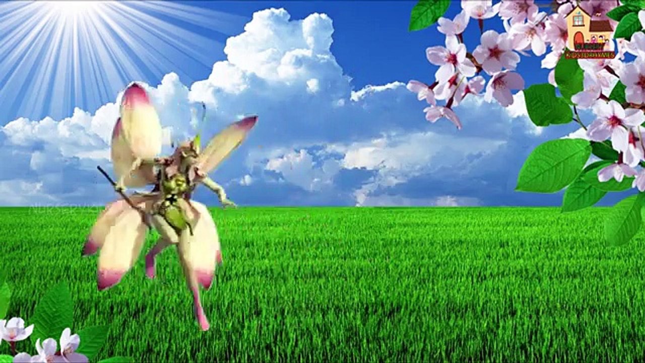 Flower queen Finger Family Nursery Kids English 3d Rhymes
