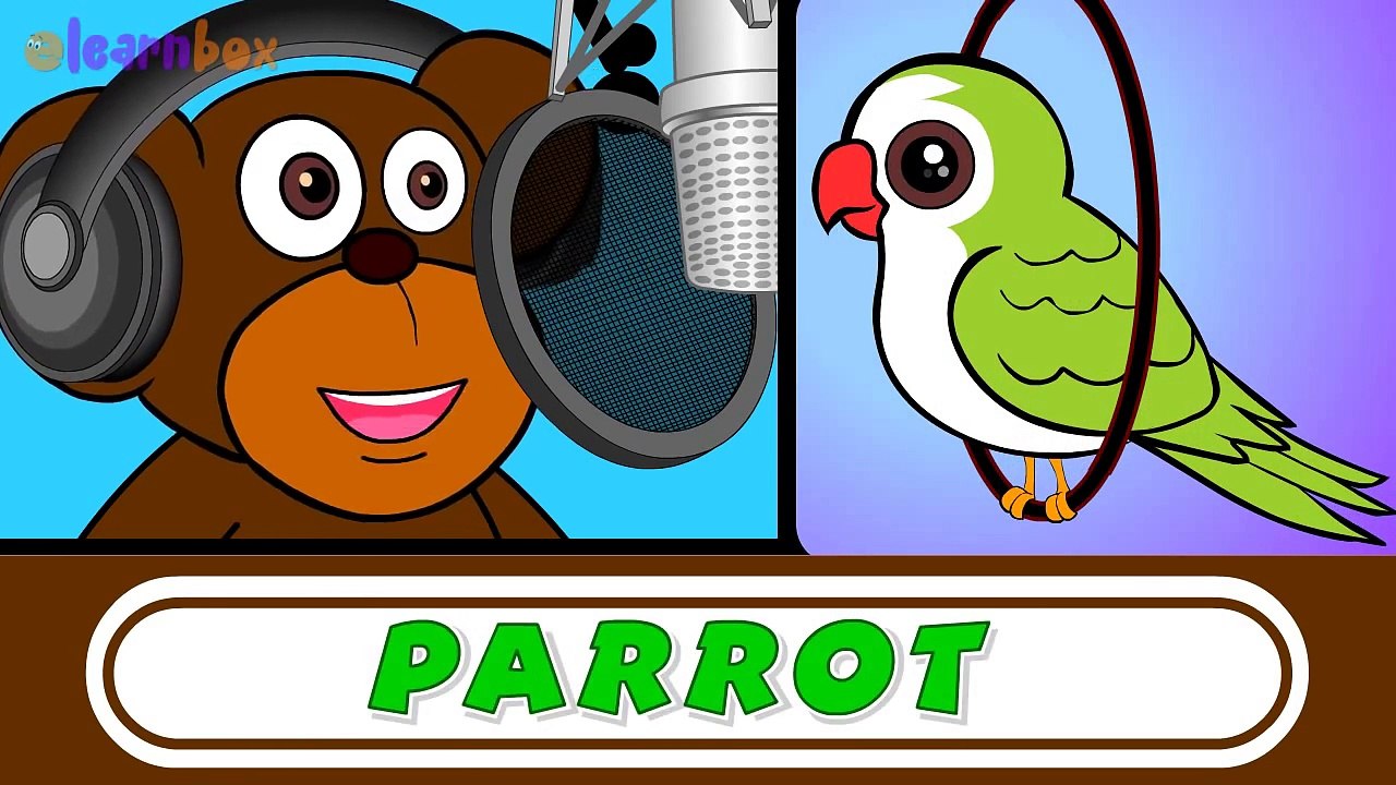 Learn English Birds Names! Birds Names for Childrens