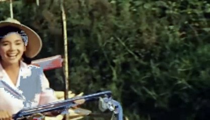 あゝ故郷　西郷輝彦  Saigou Teruhiko