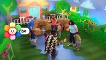 Old MacDonald Had A Farm | Baby & Childrens Nursery Rhymes Video Songs | Preschool Rhymes
