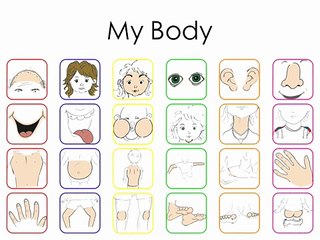 Body Vocabulary - (original) - The Human Body Vocabulary Words by Elf Learning-HkMjejpKTWM
