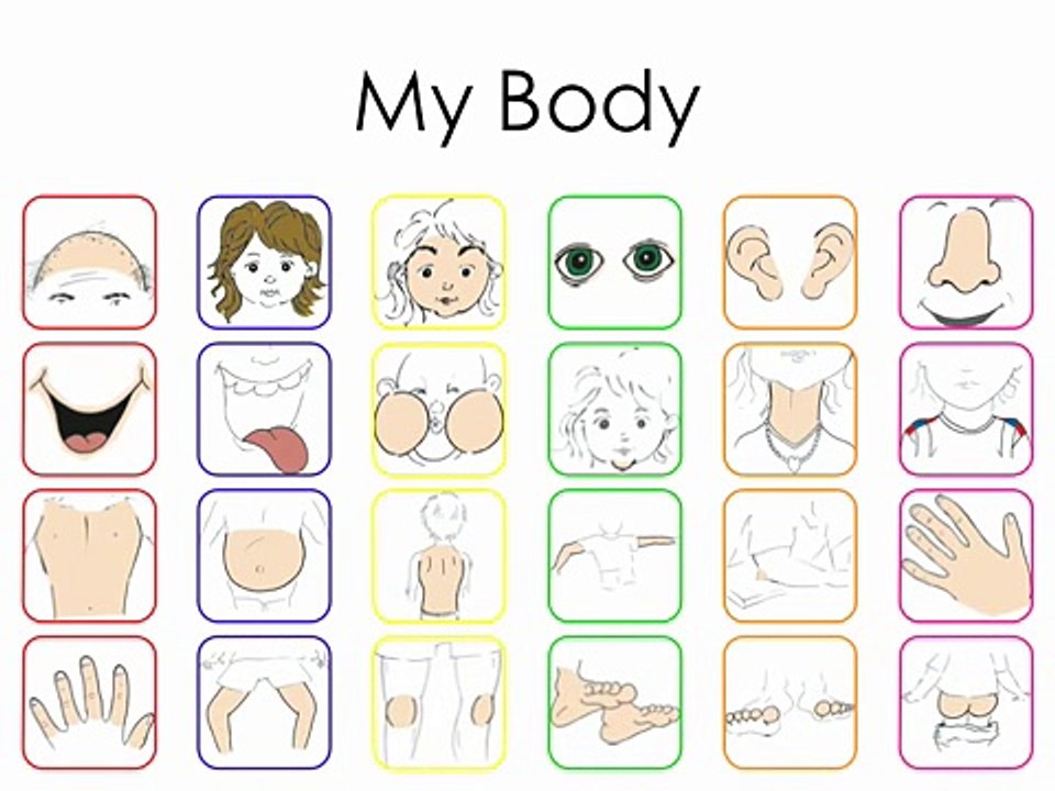 Body Vocabulary - (original) - The Human Body Vocabulary Words by Elf Learning-HkMjejpKTWM