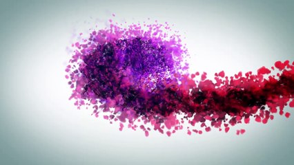 Carpet Cleaning Mandurah