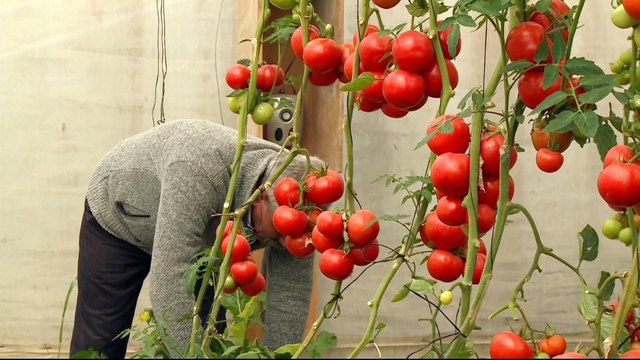 Israeli factories damaging Palestinian farms