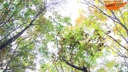 [THAI SUB] Remember This Member by Bolppalgan Menopause - MV