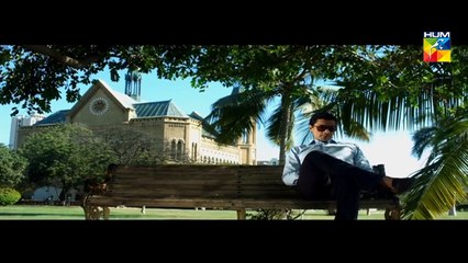 Woh Aik Pal Full OST HUM TV Drama - YouTube