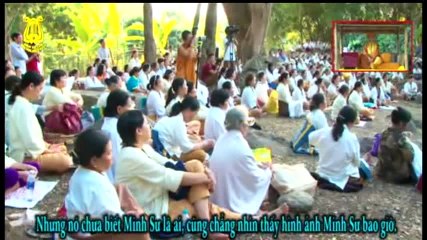 Sư phụ Trần Tâm nói chuyện tại thiền thất - P4