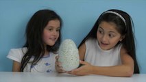 Hatchimals Hatching A New Baby! 2016 Christmas Wish List Toy Hatchimals Surprise Eggs-sm69d