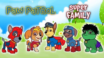 Paw Patrol Finger Family Surprise Eggs | Chase, Rocky, Skye | Transform into Super Heroes