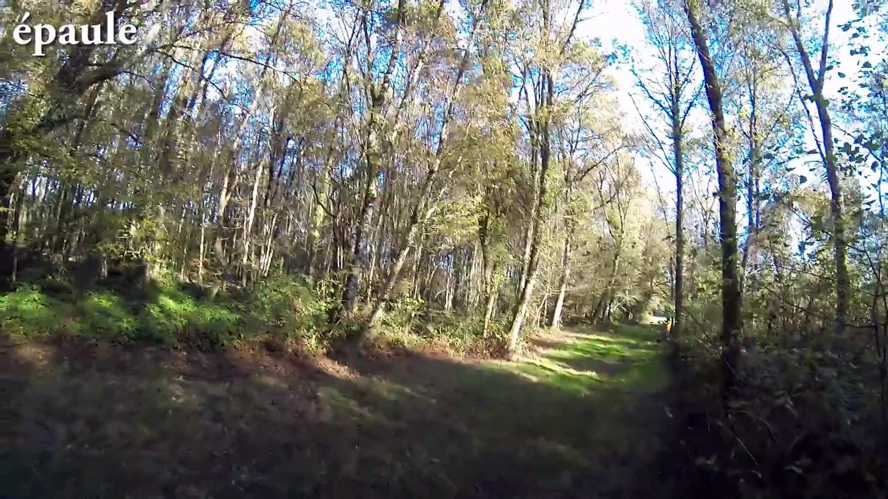 Battue en Sologne by Wild Boar