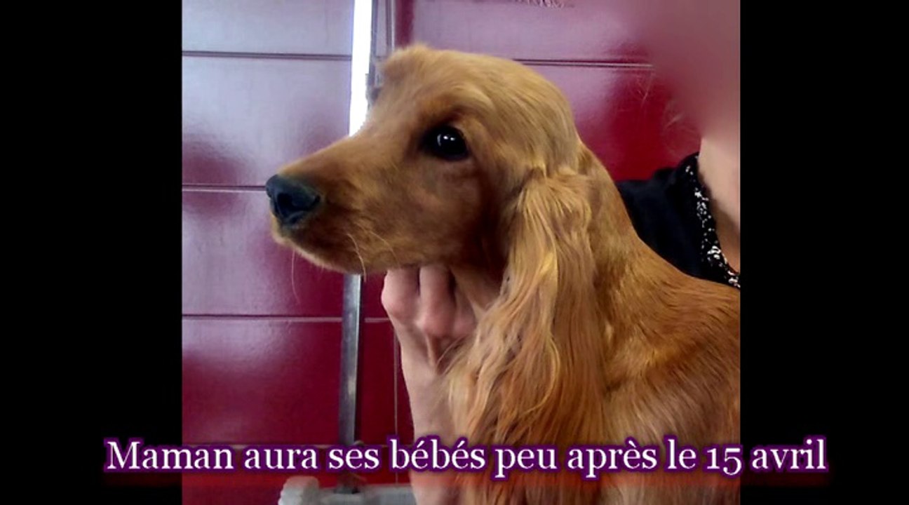 Ma maman est gestante