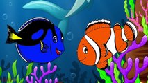 Learn Colors with Finding Dory Blue Tang Nemo Shark Fish Coloring Pages (25) Play Doh Fish