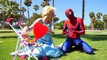 Frozen Elsa Becomes a Frog and Eats a Fly! Spiderman Kisses Frog w Hulk , Spiderbaby Super