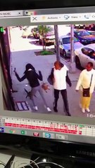 Quand ton chien se fait defoncer pas un chat et que tu l'acheves