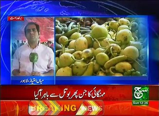 News Bulletin 12pm 26 March 2017 Such TV