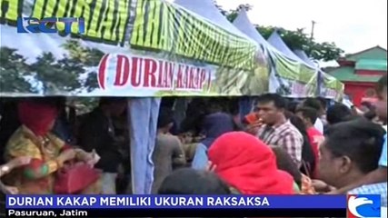 Untuk Pecinta Durian, Wajib Mencoba Durian yang Satu Ini