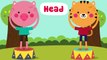 Head and Shoulders | Preschool Songs | Action Songs | The Kiboomers