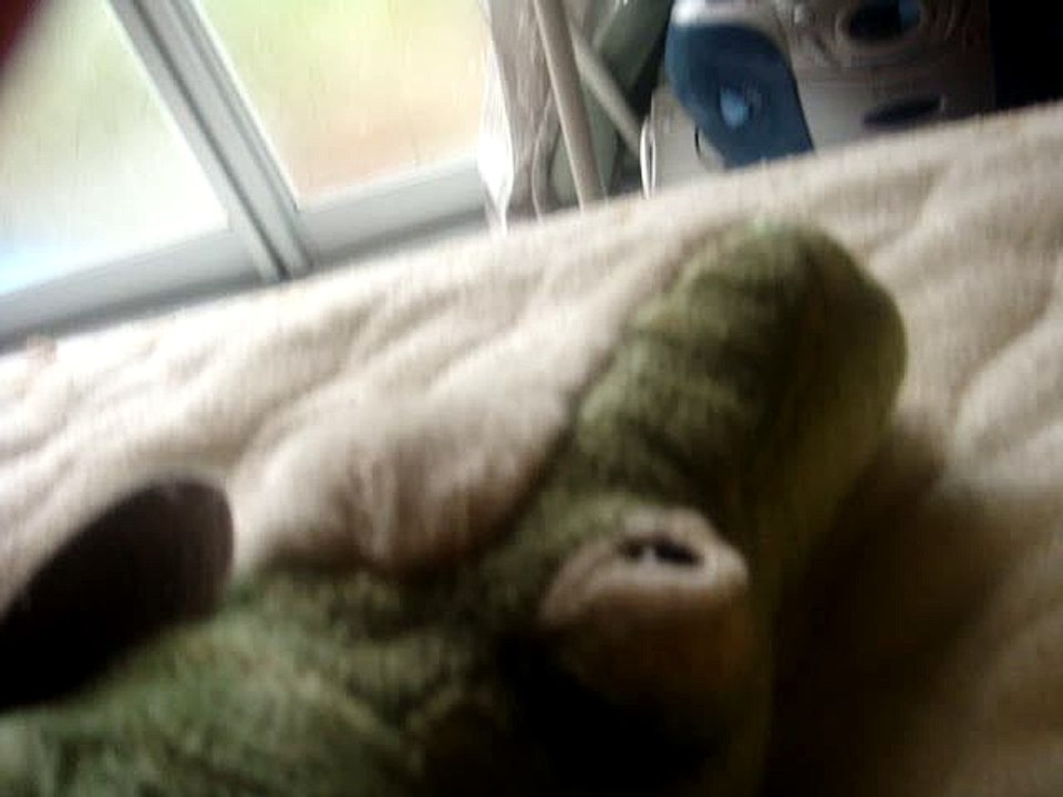 きぃ