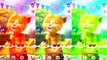 Talking Ginger Colors & Ginger Cat Games for Kids Children Baby Android/IOS Gameplay Youtu