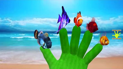 Shark Vs Skeleton Finger Family Nursery Rhymes | Sea Animals Daddy Finger Family Songs For