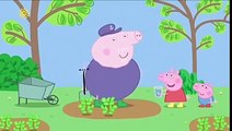 Peppa Pig English Episodes - Full Episodes Season 4 - New Compilation Part 6 - Full Englis