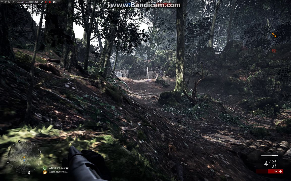 bf1-killing