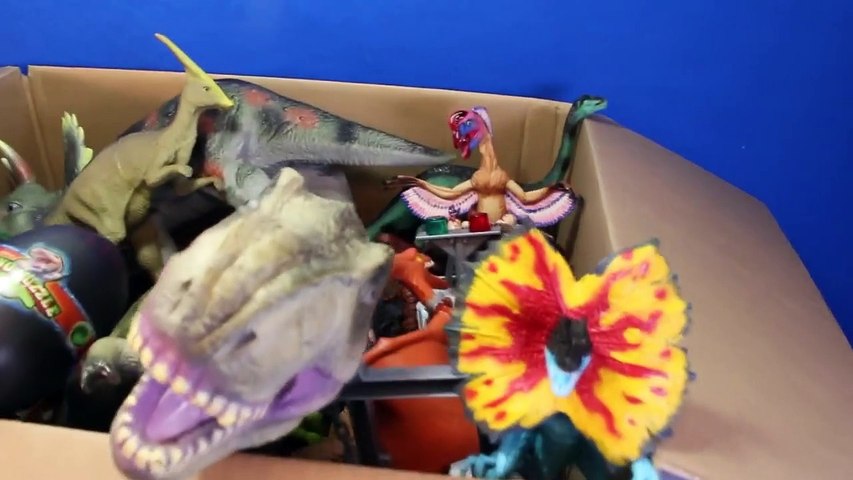 DINOSAURS What's in the Box Toy Dinosaur GIVEAWAY CONTEST Win Dinosaurs   Surprise Eggs Video-U8y