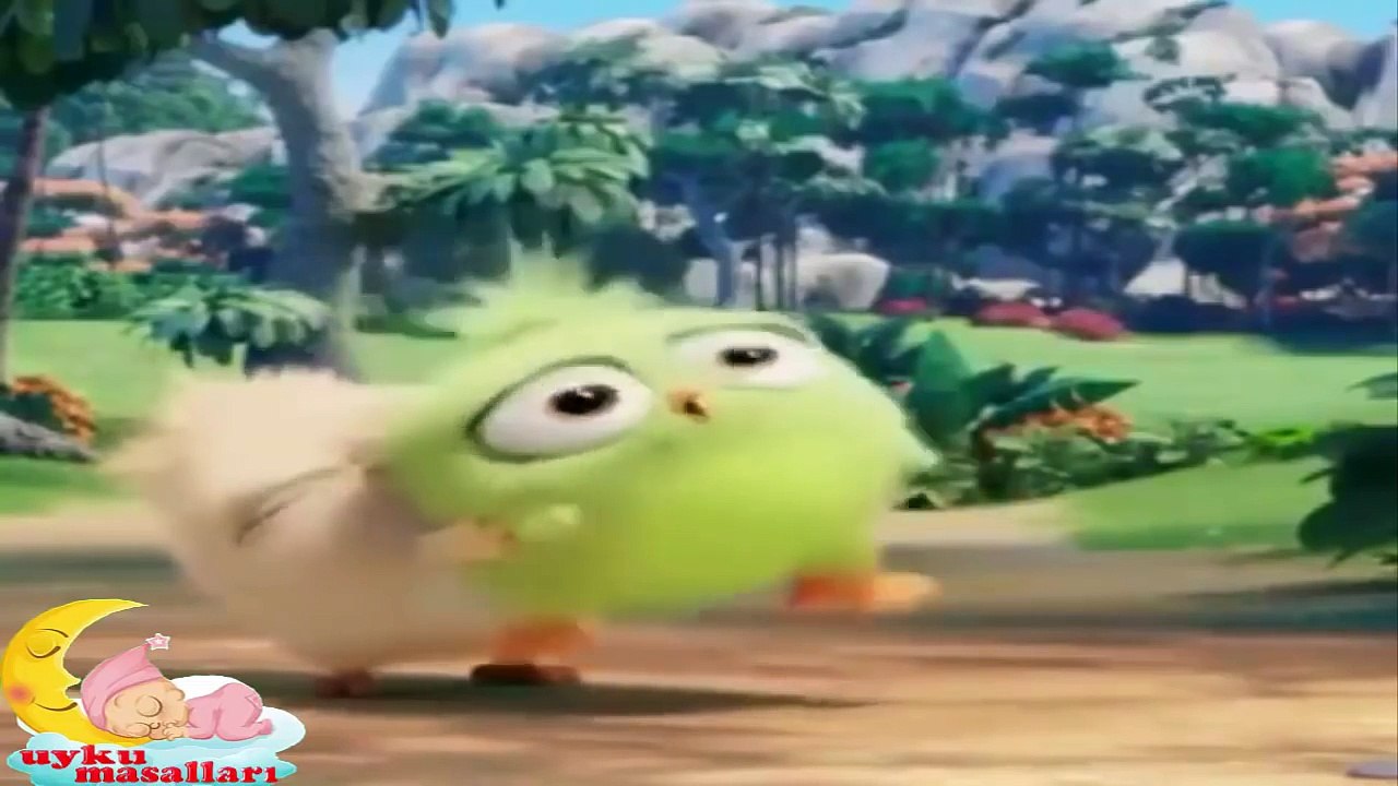Angry Birds - Küçük Kuşla Kurtçuğun Macerası