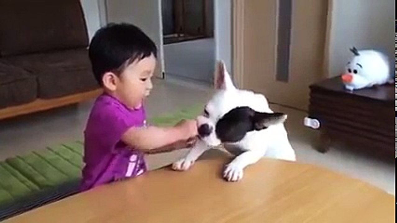 whatsapp funny videos 2017