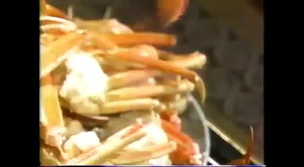 【飯テロ】フードファイト part.8 VS 萩本欽一 【肉めし】