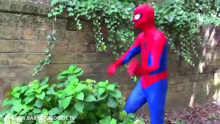 Человек-паук и Эльза