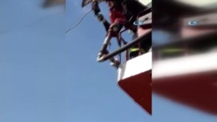 Ayağı Elektrik Teline Sıkışan Güvercin Kurtarıldı