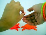 Play Doh Crab | Play Doh Ocean Animals | Learn Ocean Animals | Kids Learning Videos