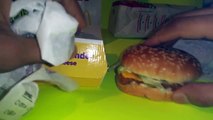 Eating 8 McDonalds Fish Fillet Sandwiches Challenge @hodgetwins