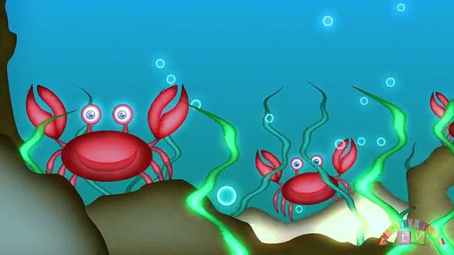 ANIMALS IN THE OCEAN - Nursery Rhymes TV. Toddler Kindergarten Preschool Baby Songs.