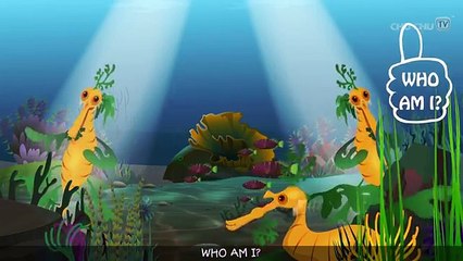 Leafy Sea Dragon Nursery Rhyme | ChuChuTV Sea World | Animal Songs & Nursery Rhymes For Children