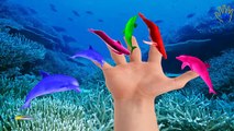 Sea Animals Finger Family Nursery Rhymes | Killer Whale Shark & Dolphin Finger Family Song