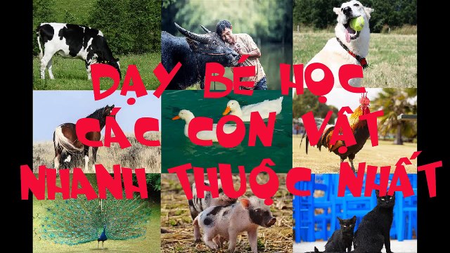 Dạy Bé học các con vật quen thuộc_Phần2_Con Yêu Của Mẹ